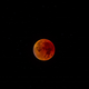 Image for article titled 34 Amazing Photos Of The Super Blood Moon
